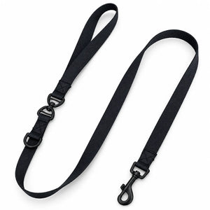 Black Dachshund  Leash
