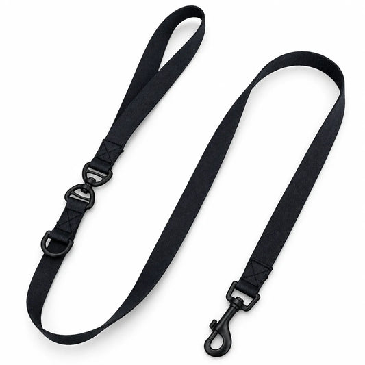 Black Dachshund  Leash