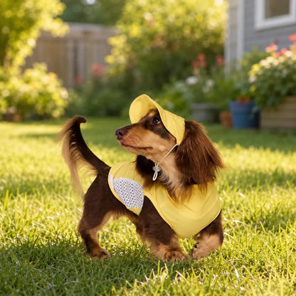 Blue  Cooling Vest