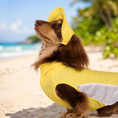 Blue  Cooling Vest